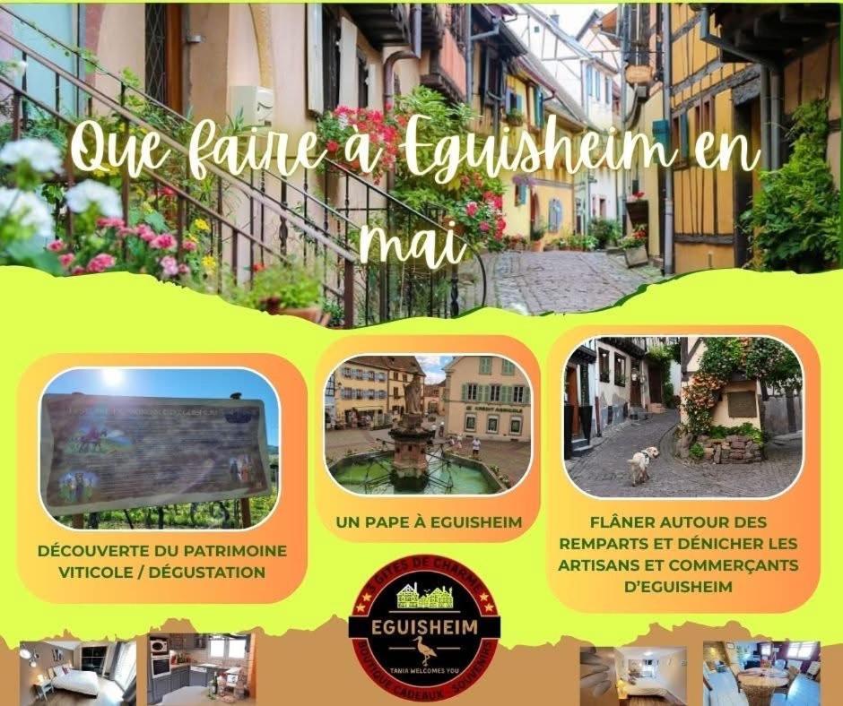 Gite Edelweiss A Eguisheim Bagian luar foto