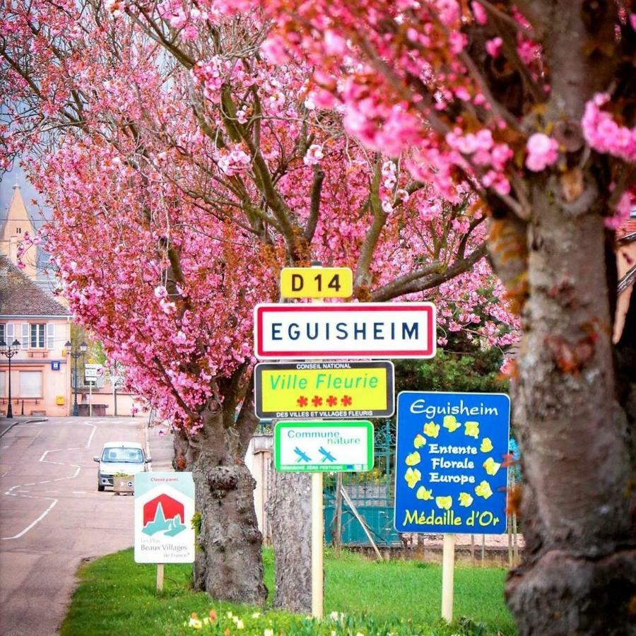 Gite Edelweiss A Eguisheim Bagian luar foto