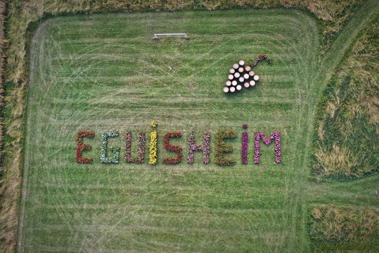 Gite Edelweiss A Eguisheim Bagian luar foto
